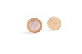 One Euro coin stand in front of the one Pound coin on white back Royalty Free Stock Photo