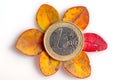 One euro coin with use marks placed on top of wilted small leaves isolated Royalty Free Stock Photo