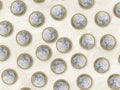 One Euro coins pattern. Abstract background.