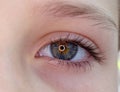 One eye of a teenager macro close-up Royalty Free Stock Photo