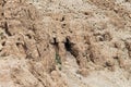 Cave Qumran National Park, Israel