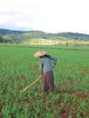 One farmer woman working