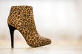 One fashionable high heel brown yellow female shoe boot isolated on light copy space background. Style and fashion, modern Royalty Free Stock Photo