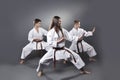 One female and two male brown belt karate doing kata