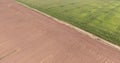 Top view of farm fields