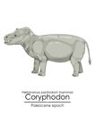 One of the first mammals, the pantodont Coryphodon Royalty Free Stock Photo