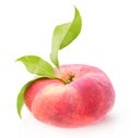 One flat peach Royalty Free Stock Photo