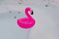 One floating pink flamingo in bathtub Royalty Free Stock Photo