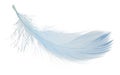 One fluffy light feather isolated on white Royalty Free Stock Photo