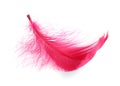 One fluffy light feather isolated on white Royalty Free Stock Photo
