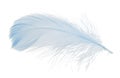 One fluffy light feather isolated on white Royalty Free Stock Photo