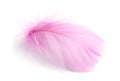One fluffy light feather isolated on white Royalty Free Stock Photo