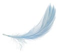 One fluffy light feather isolated on white Royalty Free Stock Photo