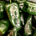 Poblano, the Ancho pepper.