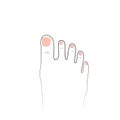 Image of the toes in the line style