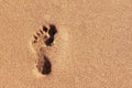 One footprint of a human barefoot left foot on smooth brown sand Royalty Free Stock Photo