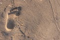 A footprint of a man in the sea sand Royalty Free Stock Photo