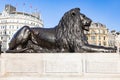 One of the four lions in Trafalgar Square, surrounding Nelson\'s Column, are commonly known as the Ã¢â¬ËLandseer Lions