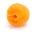 One fresh apricot fruits