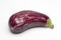 One fresh Aubergine,eggplant Royalty Free Stock Photo