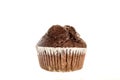 One Fresh Baked Chocolate American Muffin