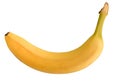 One fresh banana isolated on white background, clipping path for design. Royalty Free Stock Photo