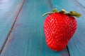 One fresh big red strawberry Royalty Free Stock Photo