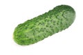 one fresh cucumber isolated on white background Royalty Free Stock Photo