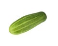 One fresh cucumber isolated on white background Royalty Free Stock Photo