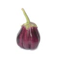 One fresh eggplant isolated on white Royalty Free Stock Photo