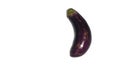One fresh eggplant isolated on white background Royalty Free Stock Photo