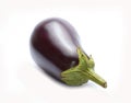 One fresh eggplant Royalty Free Stock Photo