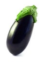 One fresh eggplant isolated on white