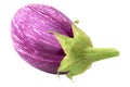One fresh eggplant isolated Royalty Free Stock Photo