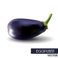 One fresh eggplant over white background Royalty Free Stock Photo