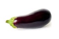 One fresh eggplant over white background. Royalty Free Stock Photo
