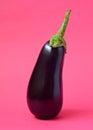 One fresh eggplant
