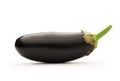 One fresh eggplant Royalty Free Stock Photo