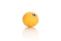 Fresh orange Japanese loquat isolated on white Royalty Free Stock Photo