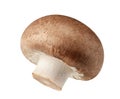 One fresh mushrooms champignon isolated on white background with clipping path Royalty Free Stock Photo