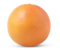 One fresh orange or grapefruit fruit isolated. Single citrus fruit with clipping path. Royalty Free Stock Photo