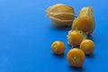 Vew of Aguaymanto fruits on a blue background