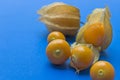 Vew of Aguaymanto fruits on a blue background