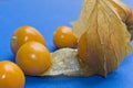 Vew of Aguaymanto fruits on a blue background