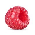 One fresh raspberry fruit isolated on white Royalty Free Stock Photo