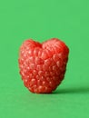 One fresh raspberry Royalty Free Stock Photo