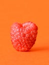 One fresh raspberry Royalty Free Stock Photo