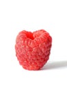 One fresh raspberry Royalty Free Stock Photo