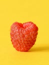 One fresh raspberry Royalty Free Stock Photo