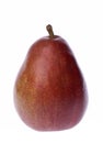 One Fresh Red Pear Royalty Free Stock Photo